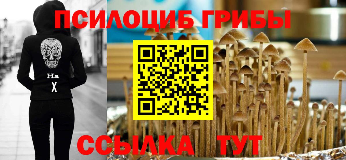 Псилоцибиновые грибы ЛСД Лянтор